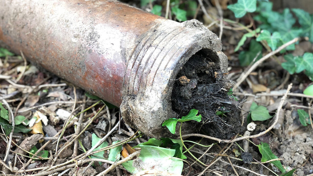 How to prevent blocked drains at home